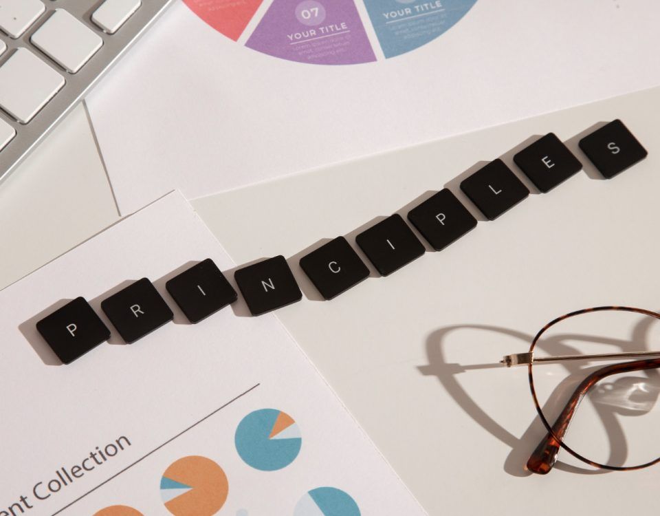 firma-creare-magazin-online